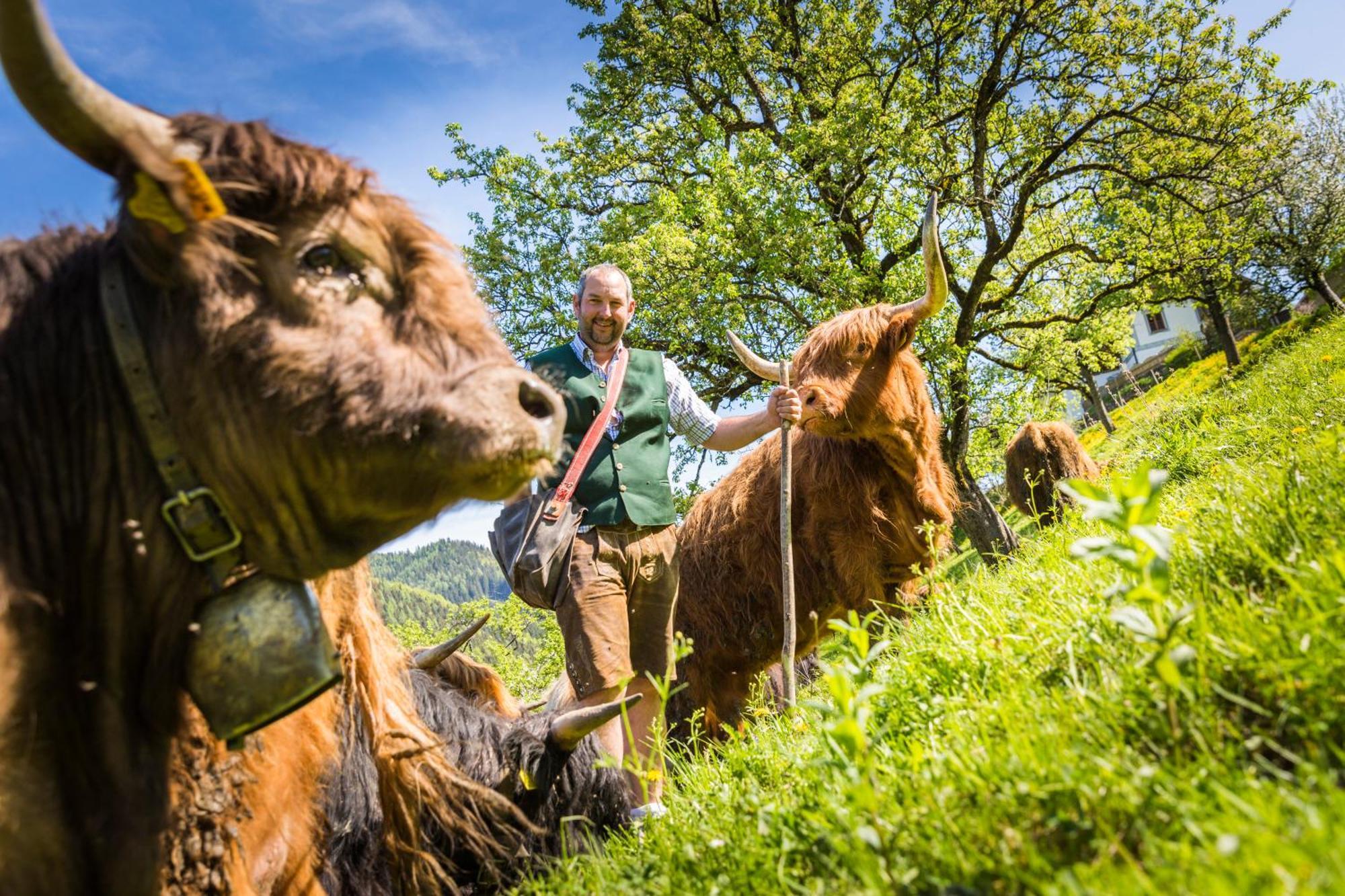 Biobauernhof Lacken Strohmarkt Eksteriør bilde